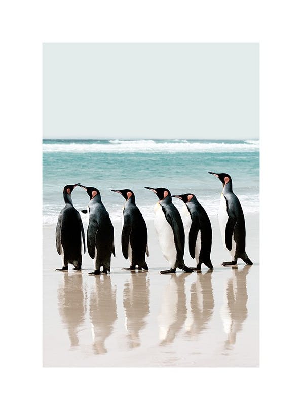 Prints - Lined up Penguins Print (50x70 cm) - Animal art prints