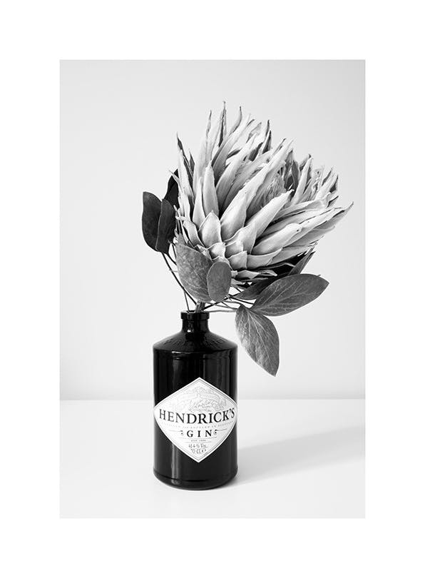 Gin & Flower Plakat (50x70 cm)- Czarno-białe zdjęcia