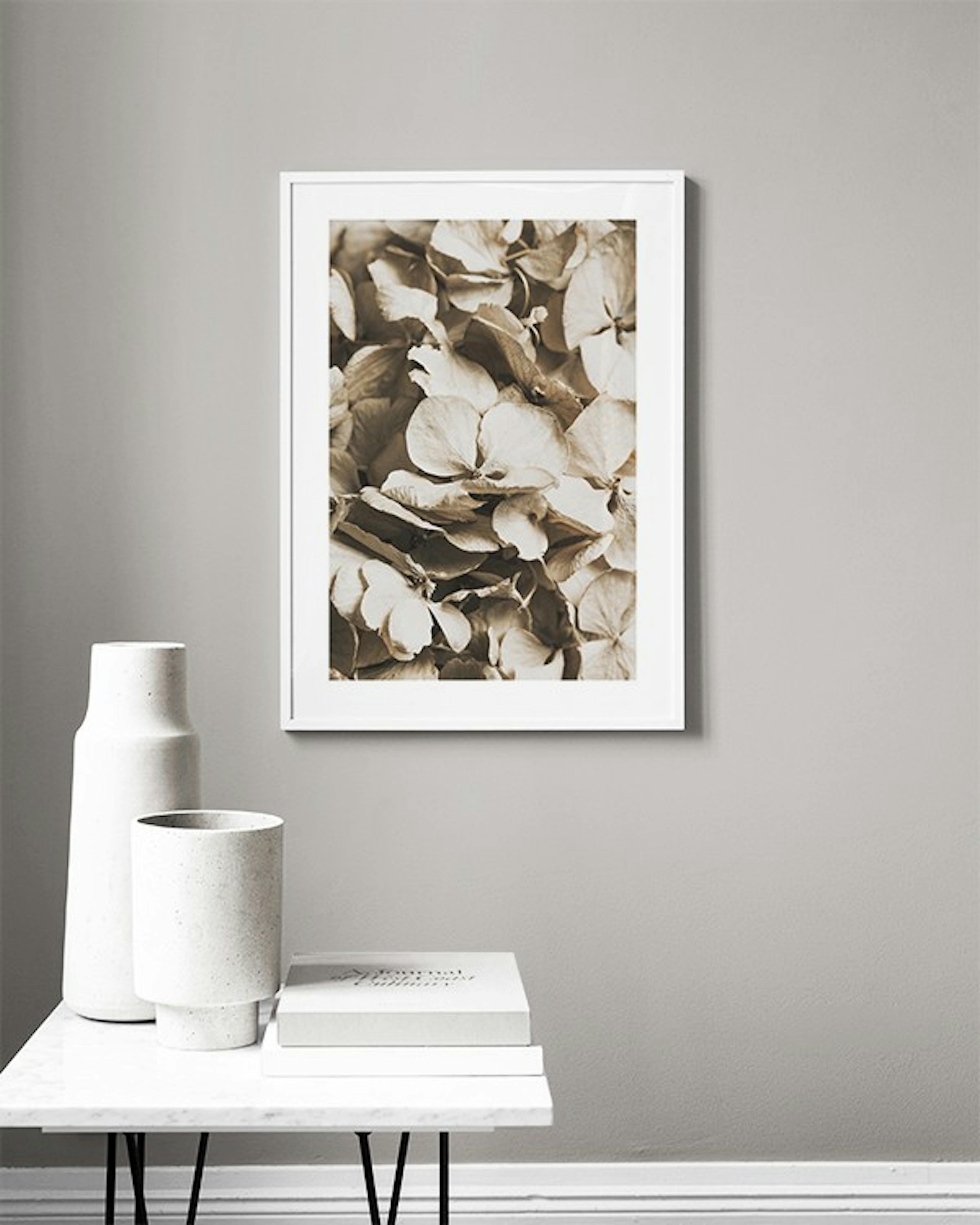 Dried Hydrangea Poster