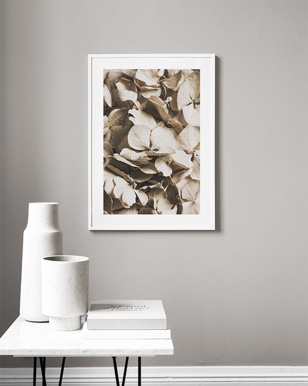 Dried Hydrangea Poster - Getrocknete Blumen beige