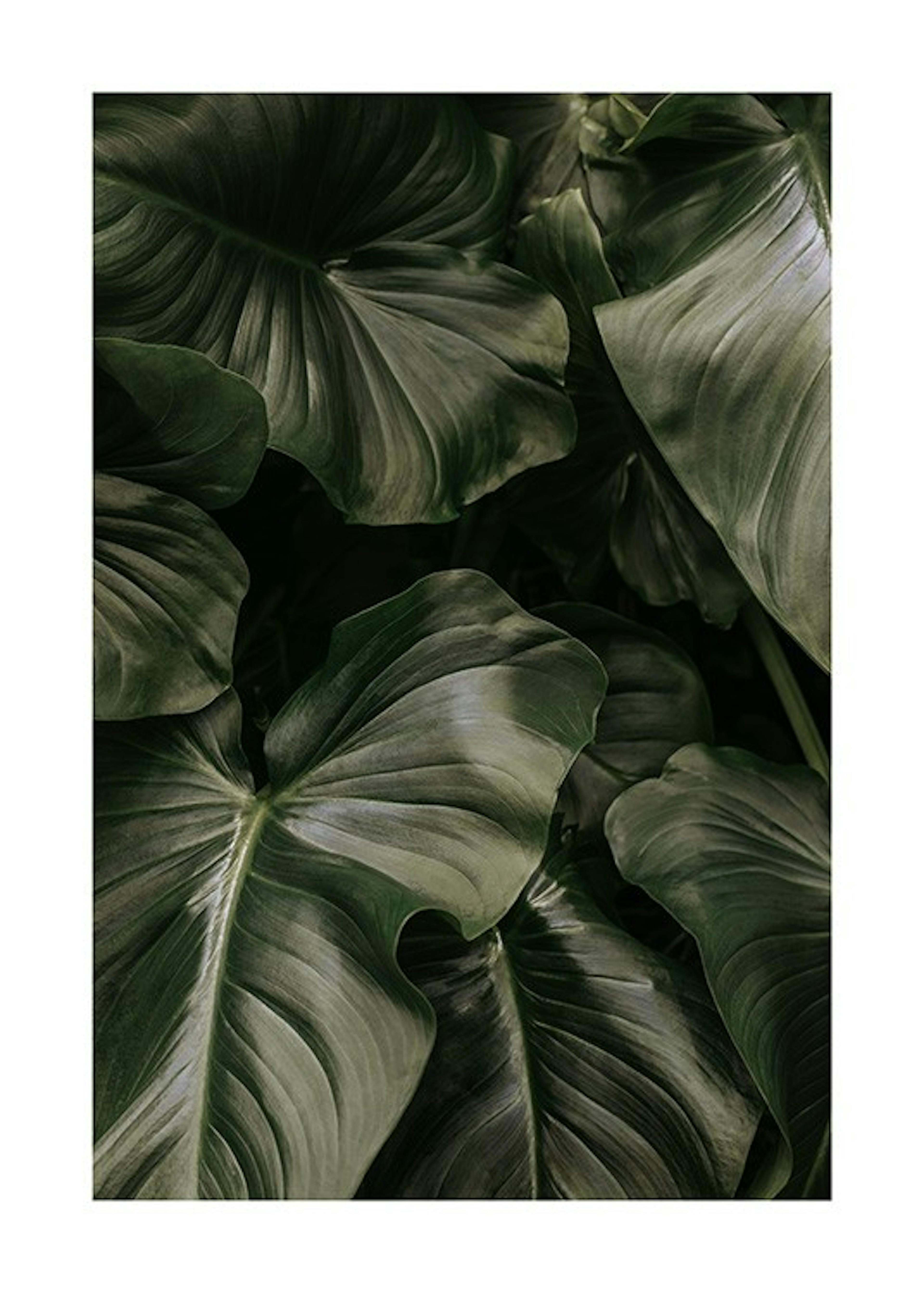 Deep Green Leaves Print 0