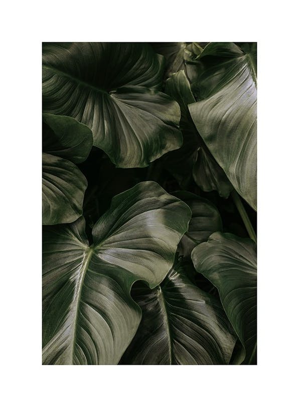 Deep Green Leaves Plakat (21x30 cm)- Rośliny zielone