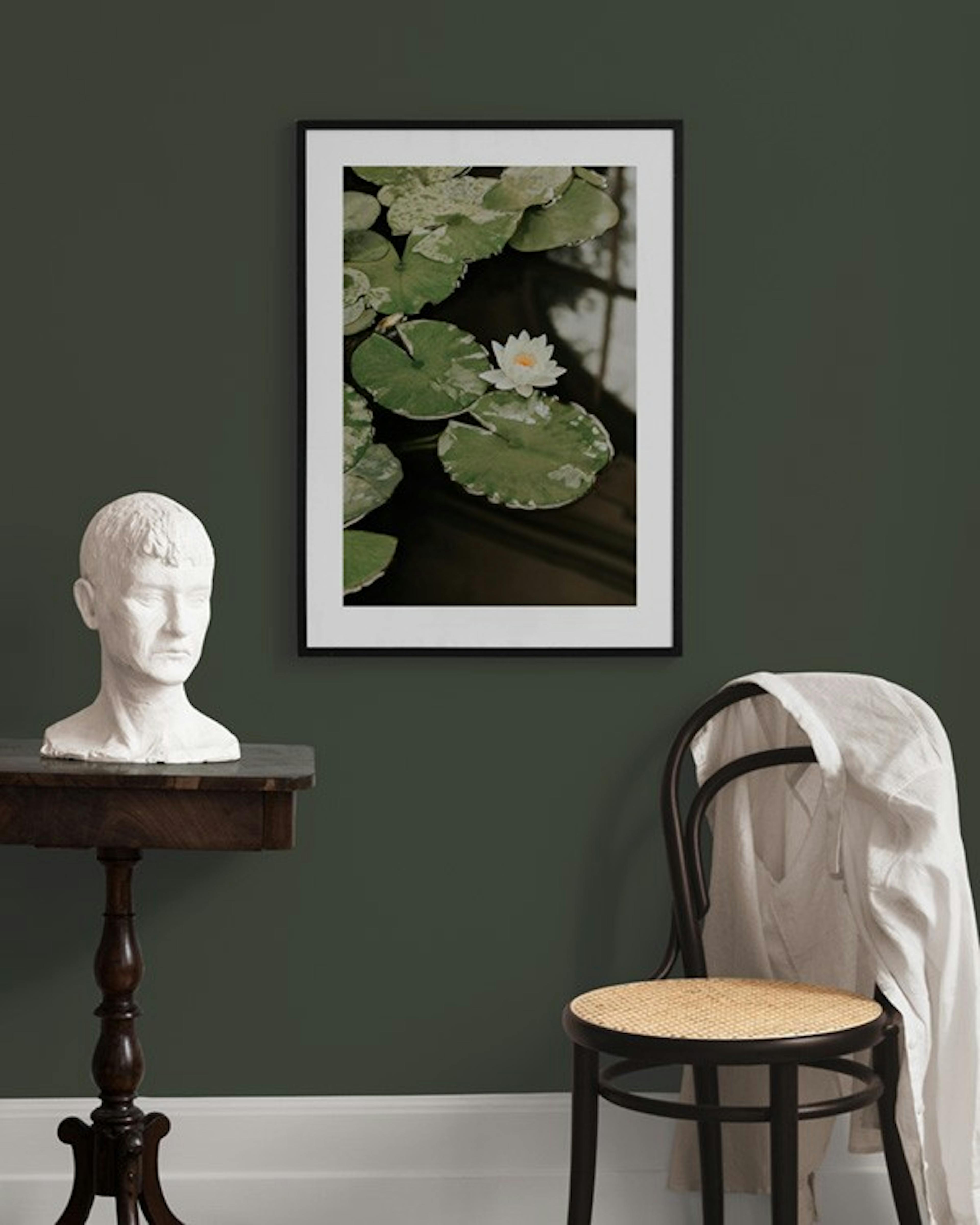 Water Lily Print