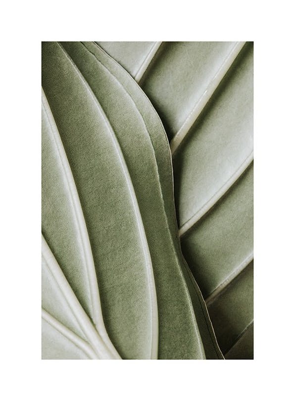 Organic Lines Plakat (21x30 cm)- Rośliny zielone