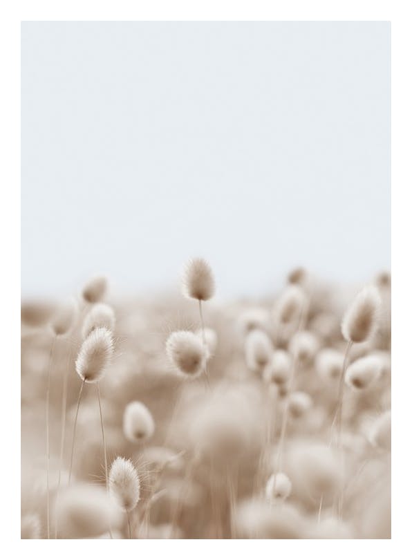 Soft Grass Plakat (50x70 cm)- Rośliny zielone