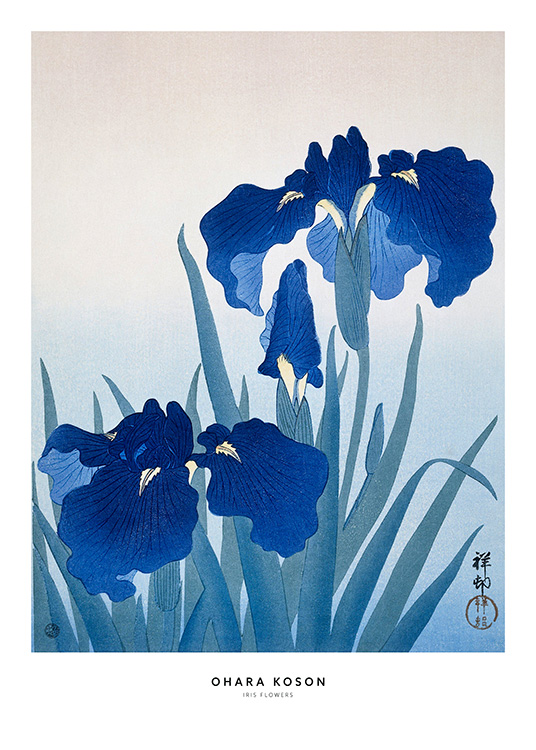 Ohara Koson - Iris Flowers Poster - Flores de iris azul 