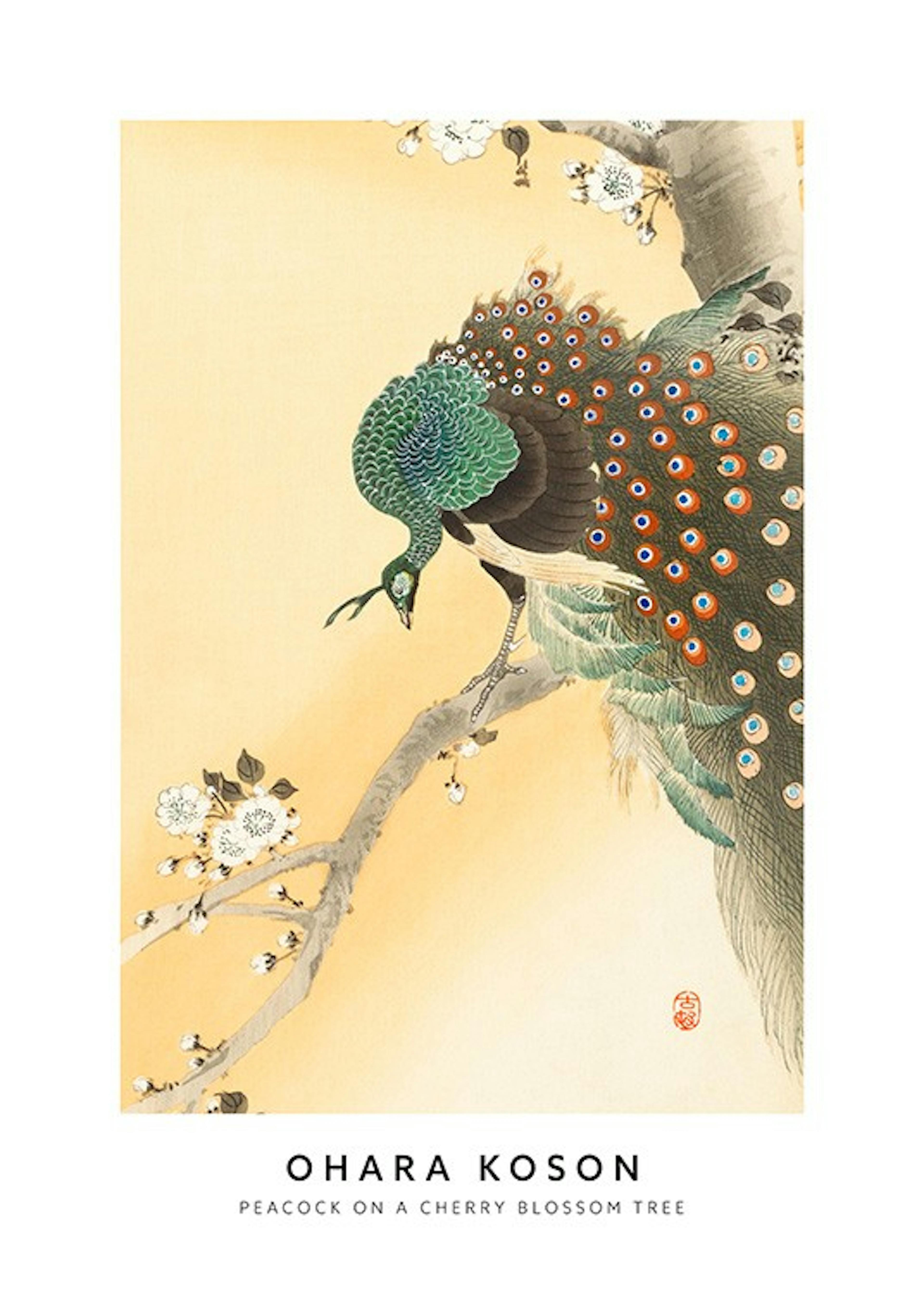 Ohara Koson - Peacock on a Cherry Blossom Tree Print