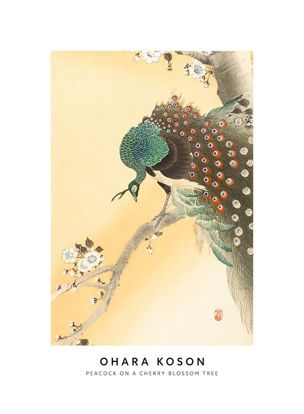 Ohara Koson - Peacock on a Cherry Blossom Tree Poster (30x40 cm) - Poster