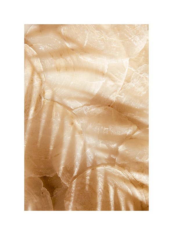 Palm Leaf Reflection Plakat (50x70 cm)- Fotografia