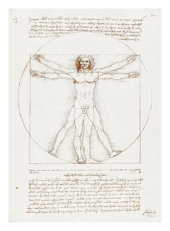 Prints - Leonardo Da Vinci - Vitruvian Man Print (50x70 cm) - Paintings by famous painters
