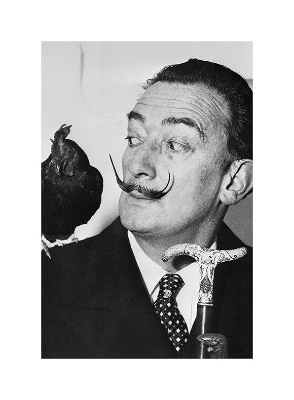 Salvador Dalí Juliste (50x70 cm)  Iconic photos