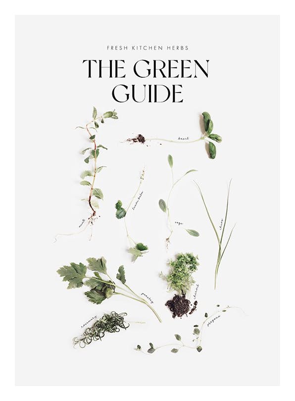 The Green Guide Poster (30x40 cm)- Cibo