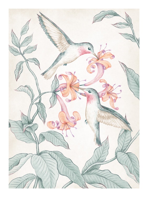 Hummingbirds Painting  0