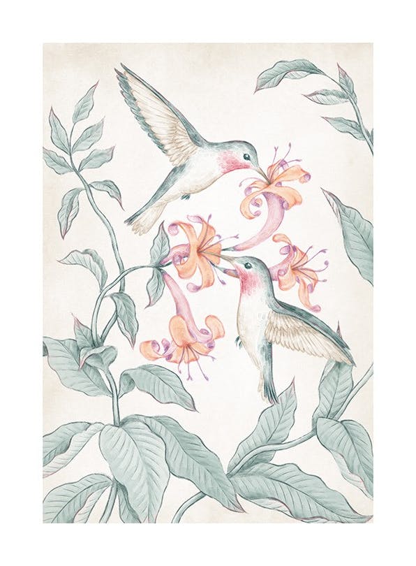 Hummingbirds Painting Poster (50x70 cm)- Quadros de aguarelas