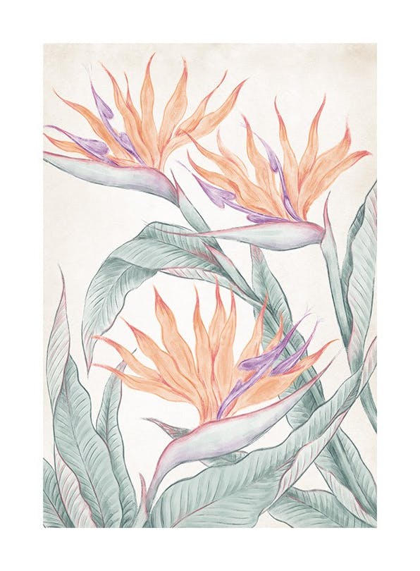 Birds of Paradise Painting Poster (21x30 cm)- Quadros de aguarelas