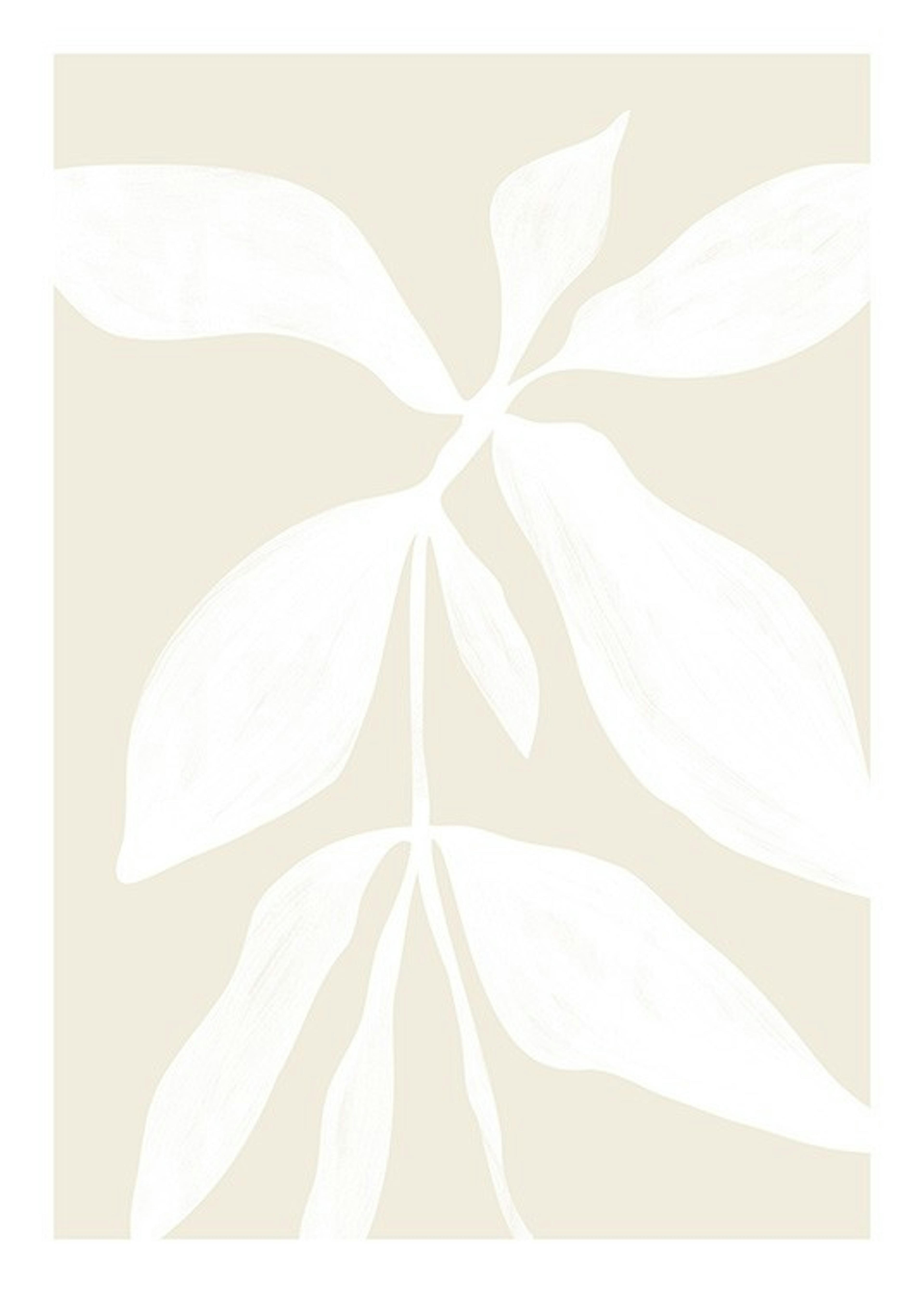 White Botanical No1 Print 0
