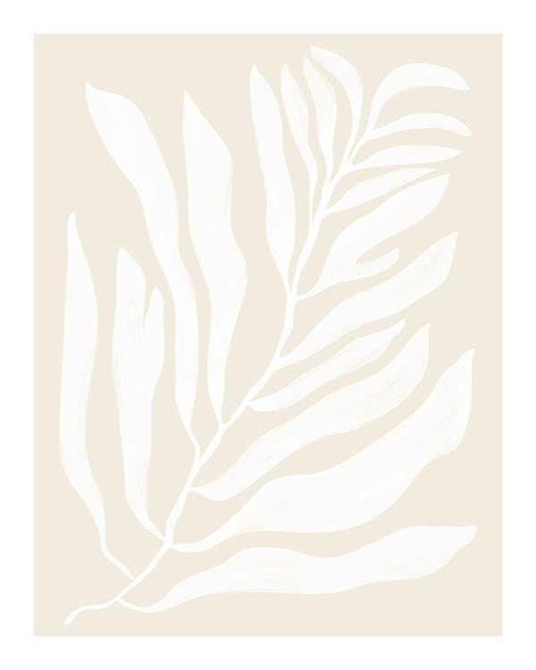 White Botanical No2 Poster 0