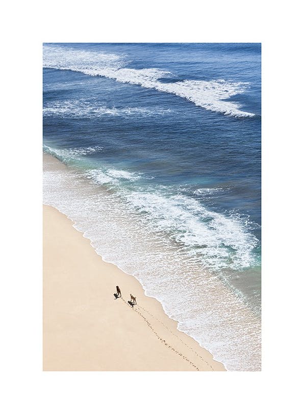 Prints - Dogs on Beach Print (50x70 cm) - Beach prints