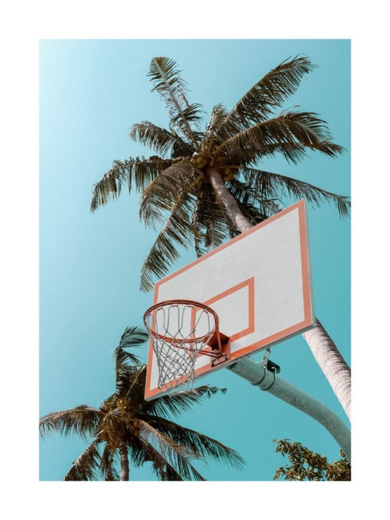 Basketball Palms Plakát 0