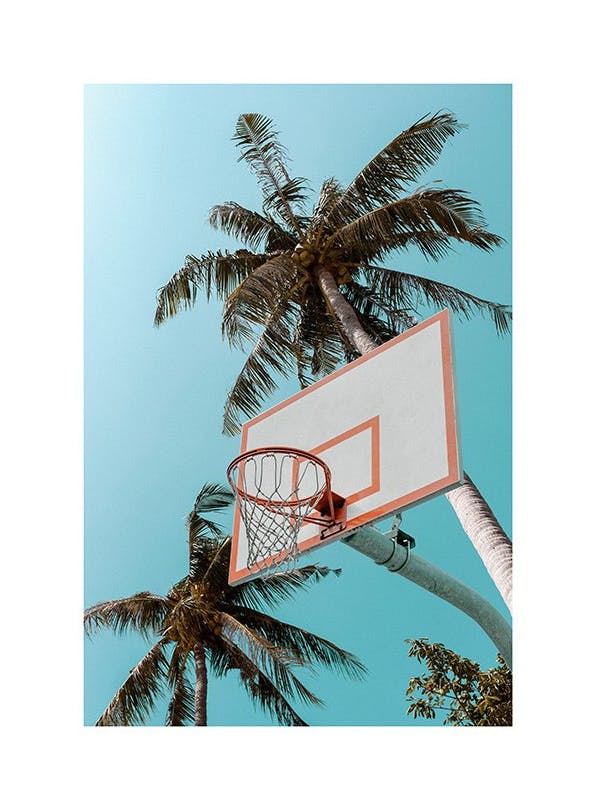 Basketball Palms Poster (30x40 cm) - Sport posters en prints