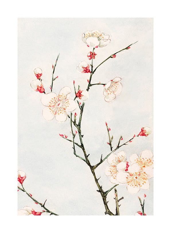 Prints - Megata Morikaga - Plum Branches with Blossoms Print (30x40 cm) - Paintings by famous painters