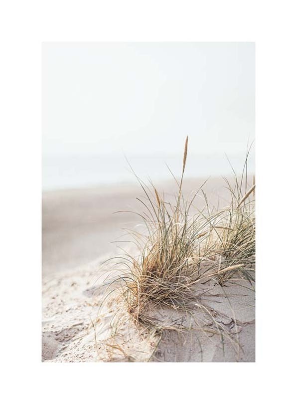 Dune Grass Poster (30x40 cm)-Poster