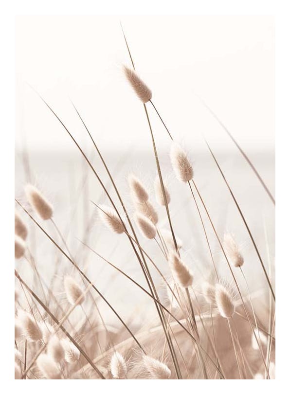 Beige Grass by the Sea Affiche (50x70 cm)