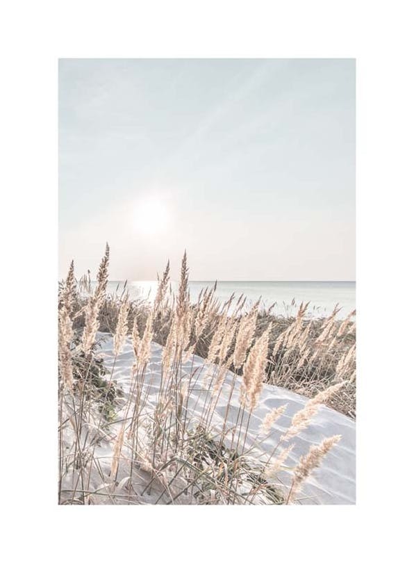 White Sand Coast Plakat (30x40 cm)-Plakaty