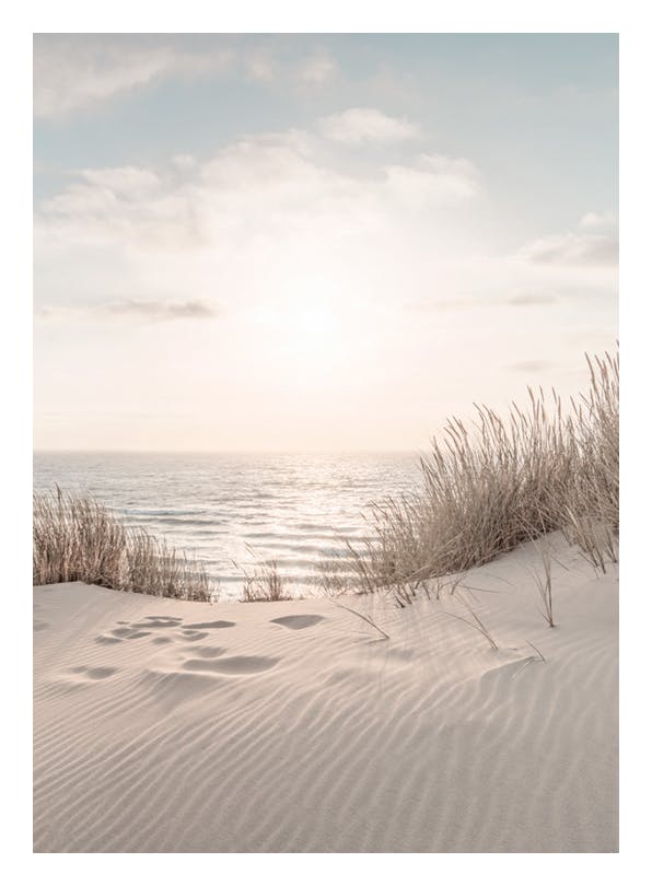Dune Beach No2 Print (50x70 cm)