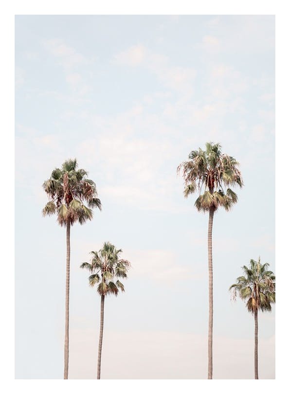 Palm Sky Poster (21x30 cm)