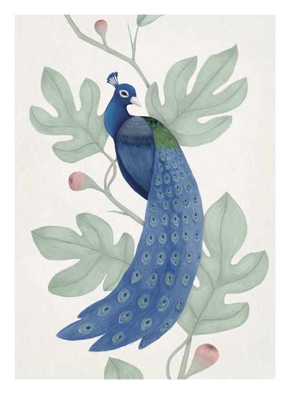 Vintage Blue Peacock Plakat (50x70 cm)-Plakaty