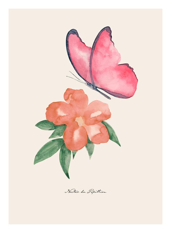Nectar de Papillon​ Print (50x70 cm)