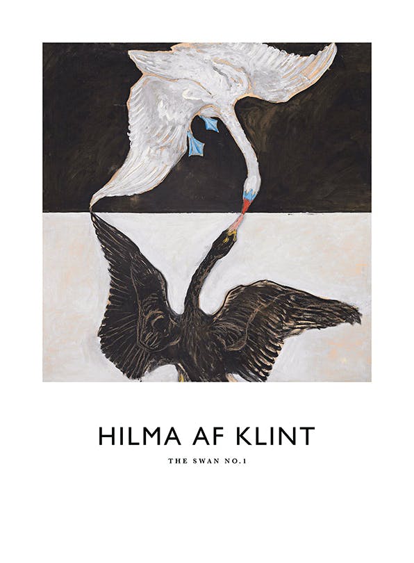 Poster - The Swan, No. 1 by Hilma af Klint (50x70 cm)