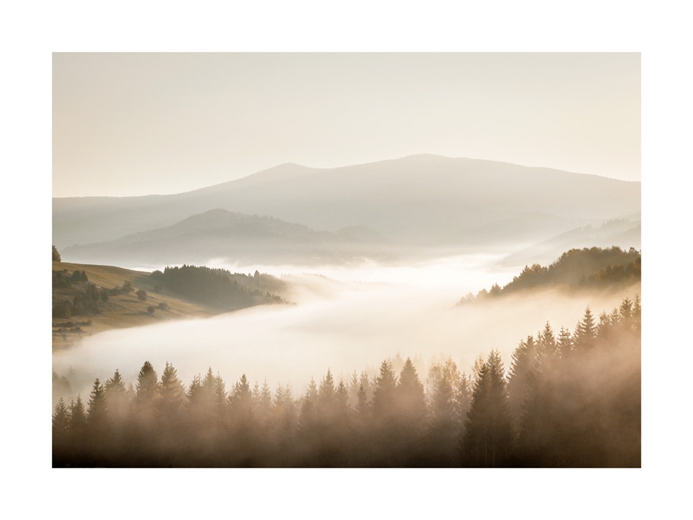 Misty Landscape Poster 0
