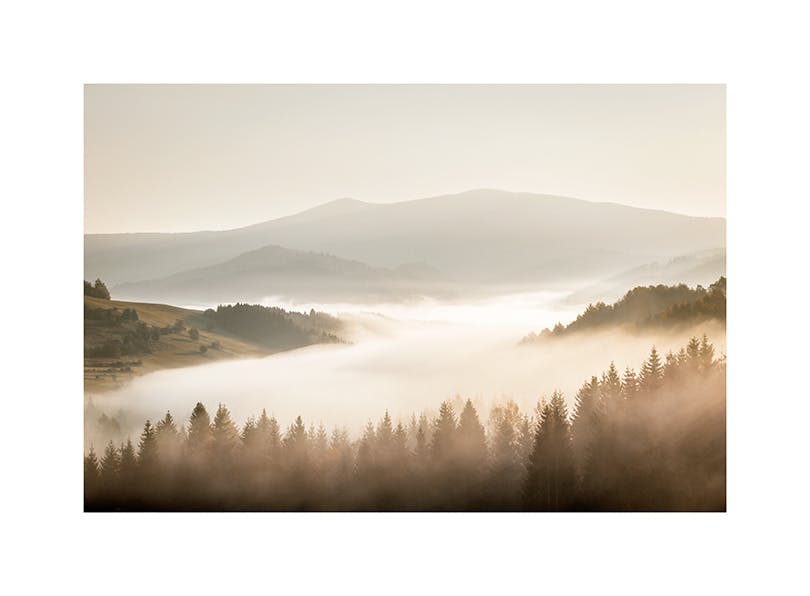 Misty Landscape Plakat (30x40 cm)-Plakaty