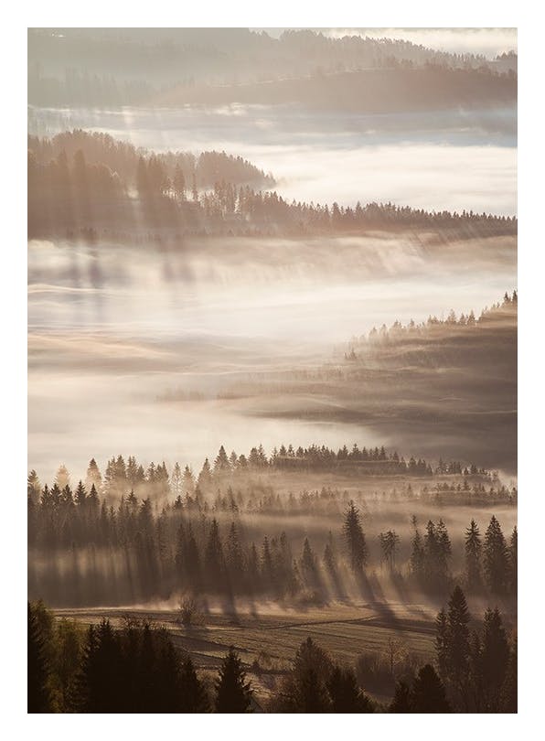 Prints - Sun Rays Through Mist Print (30x40 cm) - Photography prints