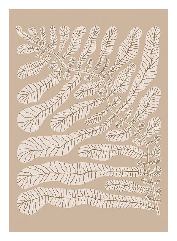One Hundred - Leaved Plant No2 Poster (21x30 cm)-Poster