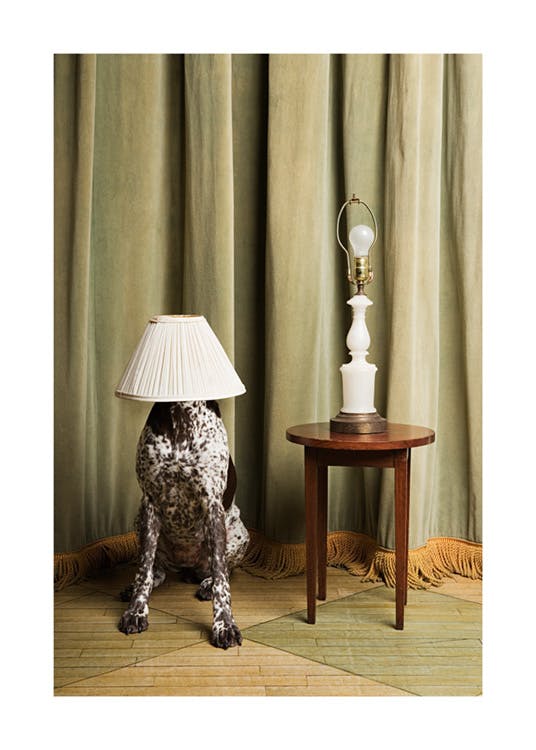 The Dog Lamp Plakat 0