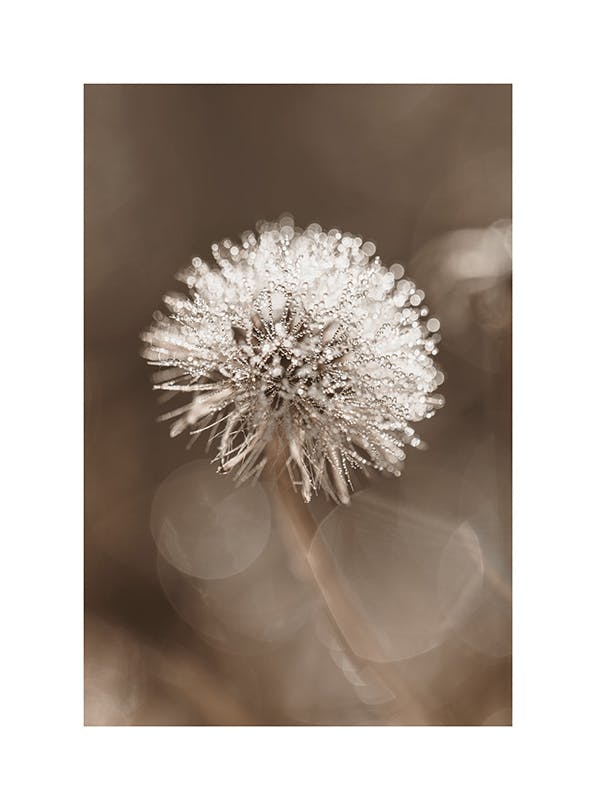 Dark Dandelion Print (30x40 cm)