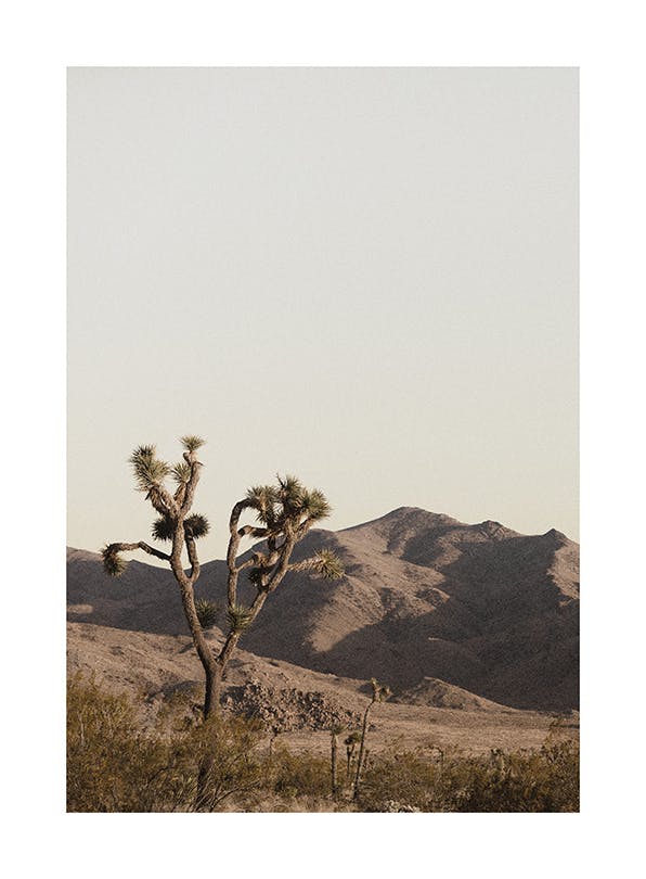 Ruddy Earth Poster (50x70 cm)- Poster 30x40 cm