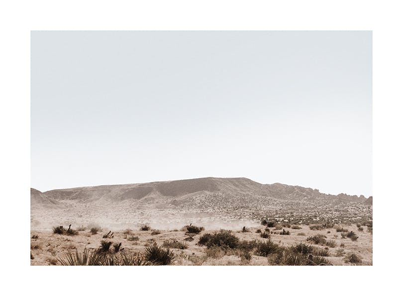 Dusty Joshua Tree Road Poster (50x70 cm)- Poster 30x40 cm