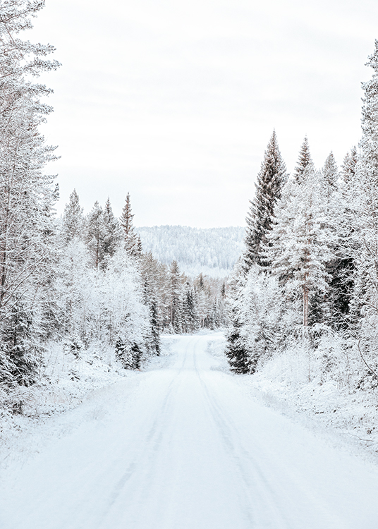 Snowy Forest Road Poster