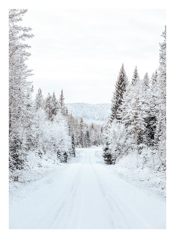 Snowy Forest Road Plakat (13x18 cm)-Plakaty