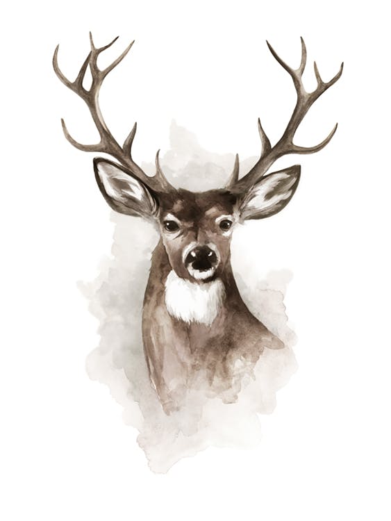 Watercolor Deer Plakat 0