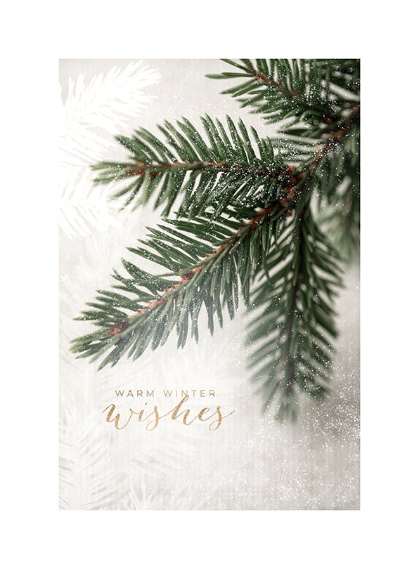 Spruce Branch Affiche (40x50 cm)