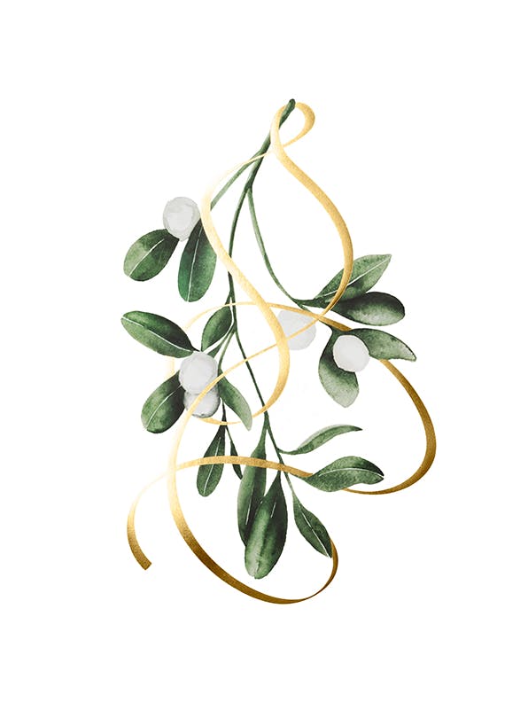 Mistletoe Plakat (30x40 cm)-Plakaty