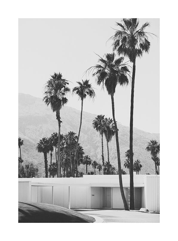 Desert House Plakat (50x70 cm)-Plakaty