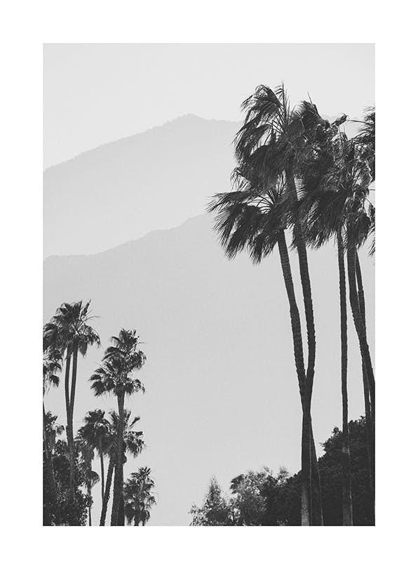 Misty Mountain View Print (50x70 cm)