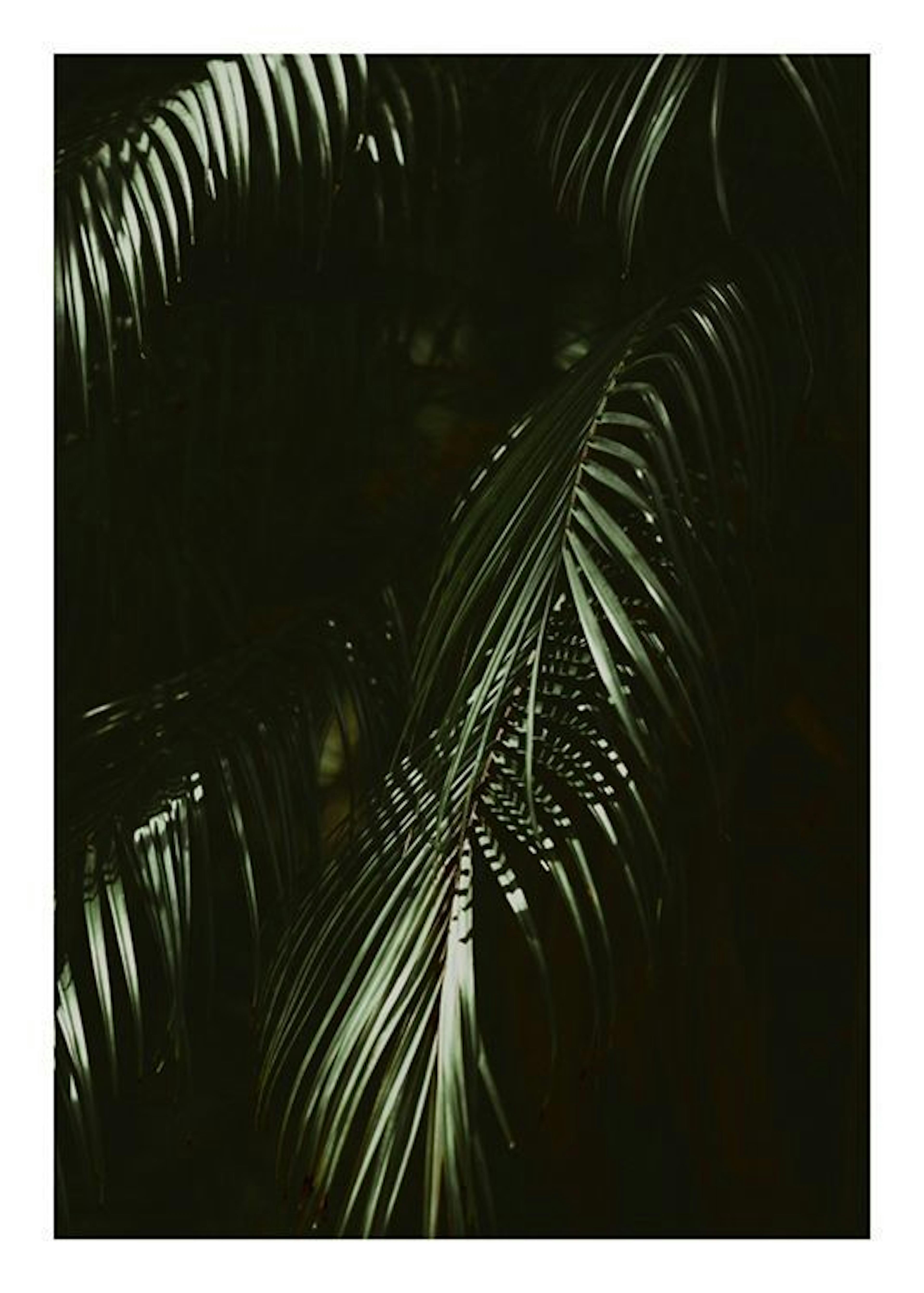 Dramatic Palm Poster