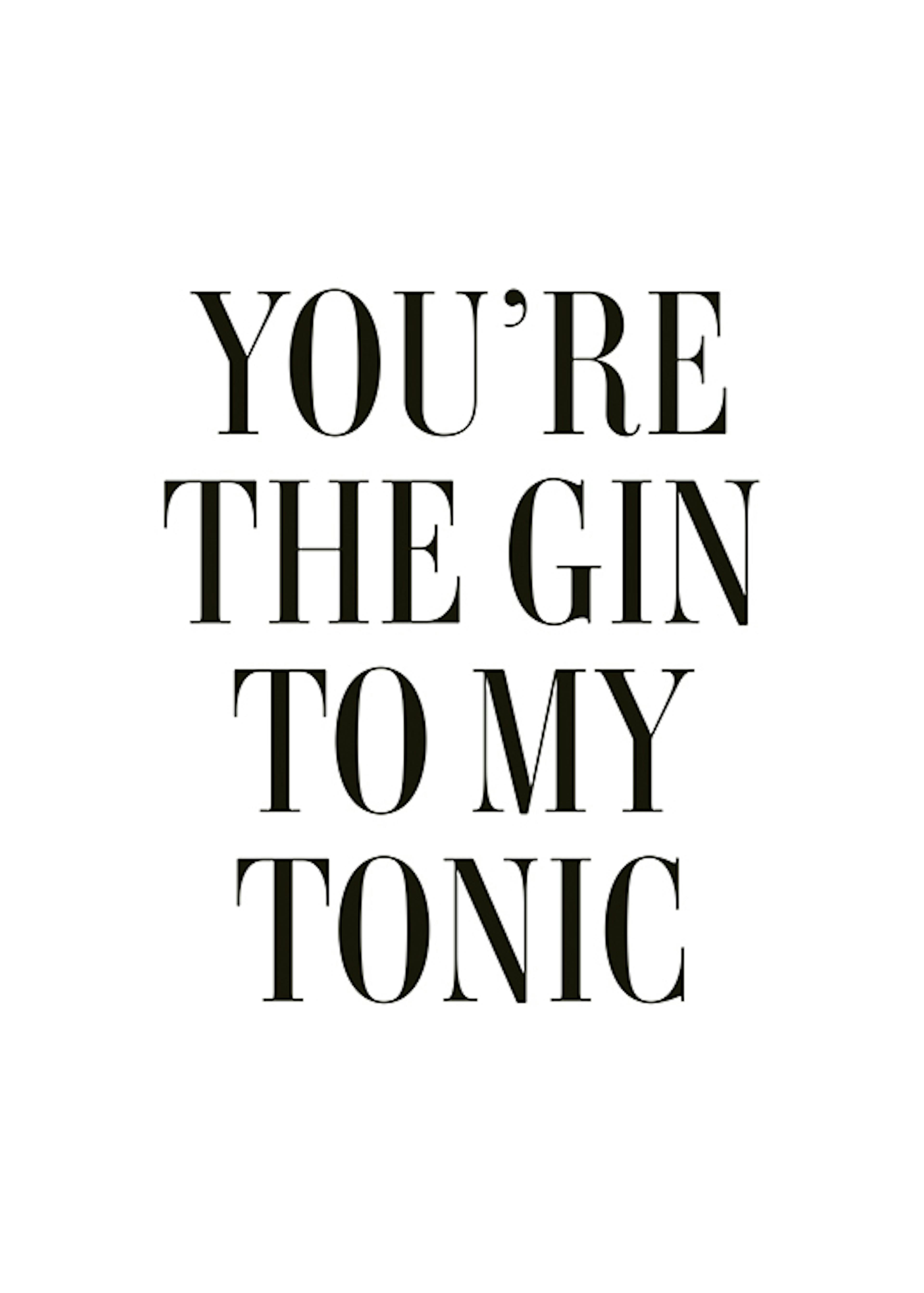 The Gin to My Tonic Plakát